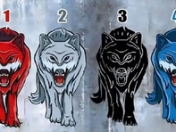 Quiz: Bạn cần không gian riêng tư khi nào?