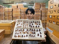 'Chúa gián Philippines': 'Thực ra gián cũng đáng yêu lắm'