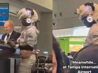 Clip cô gái đội mèo lên đầu làm thủ tục máy bay: Thật hay giả?