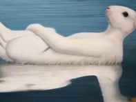 Quiz: Bạn rất tinh ý, nhạy bén với những chi tiết nhỏ?