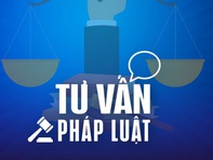 Chưa tốt nghiệp THPT có được hành nghề môi giới bất động sản?