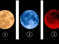 Quiz: Tình hình tài chính sắp tới của bạn sẽ thế nào?