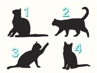Quiz: Chọn hình bóng mèo để khám phá những điểm mạnh nổi bật của bạn