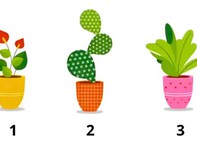 Quiz: 'Độ tuổi tâm hồn' của bạn là bao nhiêu?