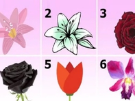 Quiz: Bạn cuốn hút, sáng tạo hay giàu nghị lực?