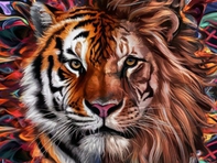 Quiz: Bạn có phải là người thẳng thắn, trung thực?