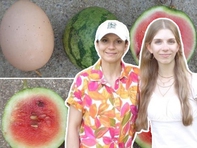 Dưa hấu 'size trứng gà': có gì lạ ngoài kích cỡ?