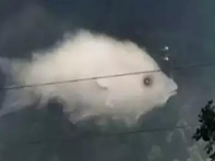 Quiz: Bạn là người mạnh mẽ nhưng cũng rất nhạy cảm?