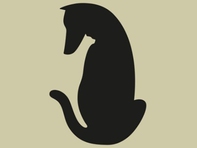 Quiz: Bạn tự tin, kiên trì và sẵn sàng đối diện với thử thách?