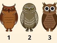 Quiz: Bạn đang chờ đợi một thông điệp gì?