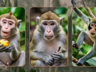 Quiz: Bạn là người ham học hỏi?
