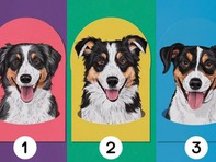 Quiz: Bạn thuộc kiểu người lãnh đạo nào?