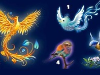Quiz: Vận may nào đang chờ đợi bạn phía trước?
