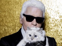 Cô mèo giàu nhất thế giới giờ ra sao sau khi Karl Lagerfeld qua đời?