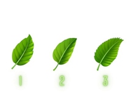 Quiz: Điểm mạnh lớn nhất của bạn là gì?