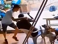 Chàng trai khốn khổ với 'chó nhà em ngoan lắm, không cắn đâu'