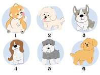 Quiz: Bạn cần tập trung điều gì lúc này?