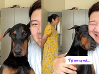 Chú chó nhõng nhẽo với cậu chủ khi bị mắng
