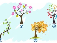 Quiz: Cảm xúc nào đang chi phối cuộc sống của bạn?