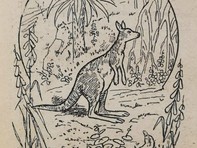 Thử tài tinh mắt: Tìm 3 con kangaroo trong hình