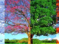 Quiz: Bạn cởi mở, năng động hay trầm tĩnh, kín đáo?