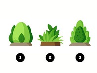 Quiz: Bạn nên đầu tư thời gian vào việc gì nhiều hơn?