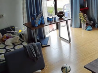 Chú mèo sang chấn tâm lý vì đang ngủ bỗng bị đồng bọn đánh