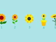Quiz: Những bí mật sâu kín nhất của tâm hồn bạn