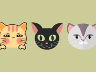 Quiz: Tài năng nổi bật nhất của bạn là gì?