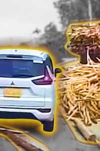 Khoảnh khắc đống gỗ từ xe tải đổ ra đường, tài xế phía sau kịp lùi ô tô thoát hiểm