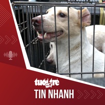 Bản tin tối 10-11: 'Săn' chó thả rông nhận được sự hưởng ứng của người dân