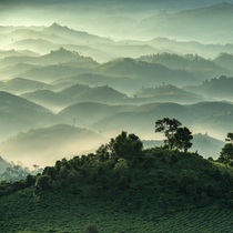 Mở mắt thấy thiên đường Bảo Lộc