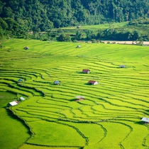 Podcast: Khám phá Măng Đen hoang sơ và bình yên giữa núi rừng Tây Nguyên