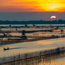 Podcast: Đi săn bình minh đẹp mê hoặc trên đầm Chuồn