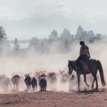 Podcast: Những ngày rong ruổi, khám phá cuộc sống du mục của người Kazakh ở Mông Cổ