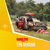 Tin tức sáng 31-10: 10 tháng, xuất khẩu nông, lâm, thủy sản Việt Nam đạt 43 tỉ USD