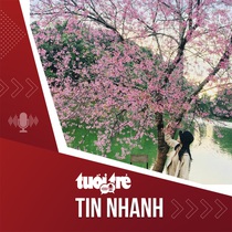 Tin tức tối 1-2: 'Đà Lạt 2' của Tây Nguyên rực sắc hoa anh đào