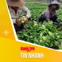 Tin tức sáng 27-3: Sản lượng tăng, giá nhiều loại rau củ giảm mạnh