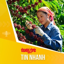Tin tức sáng 13-7: Giá cà phê quay đầu giảm sau khi lập đỉnh