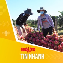 Tin tức sáng 17-7: Giá thanh long giảm sốc, nhà vườn thua lỗ
