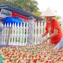 Độc đáo món tôm càng xanh một nắng, hút hàng cận Tết