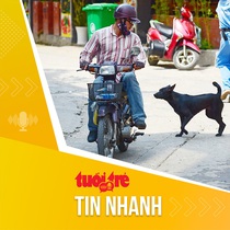 Tin tức sáng 14-12: Hơn 80 người tử vong do bệnh dại, tăng vọt so với các năm