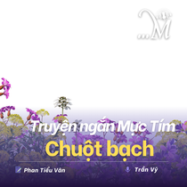 Truyện ngắn Mực Tím: Chuột bạch
