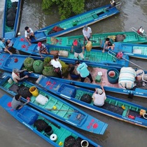 Ba khía truyền kỳ - Kỳ 1: Rừng ba khía nơi cuối nước