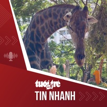 Tin tức tối 29-4: Tổ chức đầy năm cho hươu cao cổ ở Thảo cầm viên