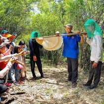 Gác kèo ong ở rừng U Minh - Kỳ 1: Gác kèo ong từ thuở cha ông đi mở cõi