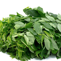 Những điều cần biết về rau ngót