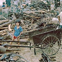 Những mùa mưa đợi chờ - Kỳ 6: Mùa vớt củi trên sông
