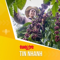 Tin tức sáng 24-6: Giá cà phê tăng giúp giá trị xuất khẩu cà phê Tây Nguyên tăng mạnh