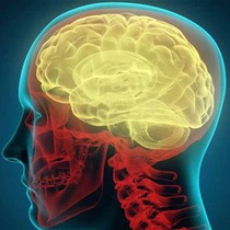 Có gì trong chip mô phỏng não người vừa được chế tạo thành công?